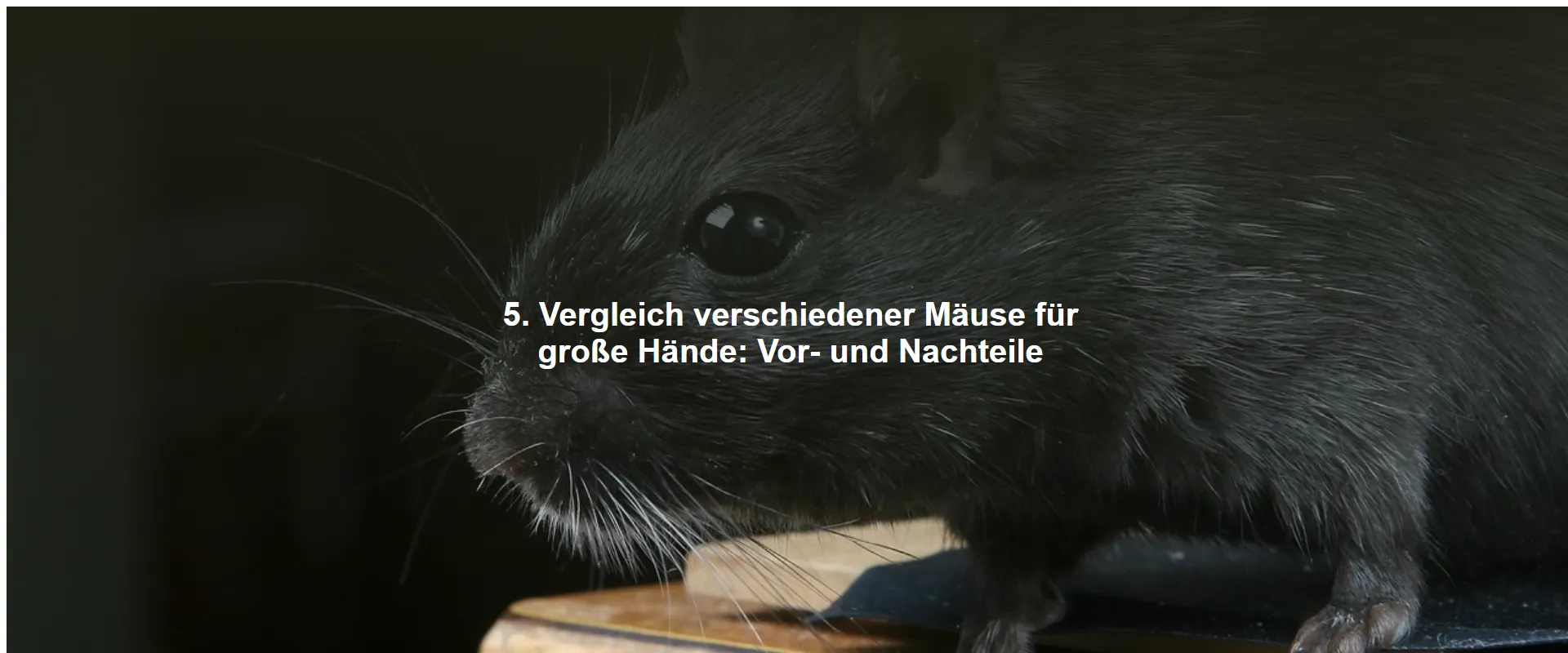 5. Vergleich verschiedener Mäuse für große Hände: Vor- und Nachteile