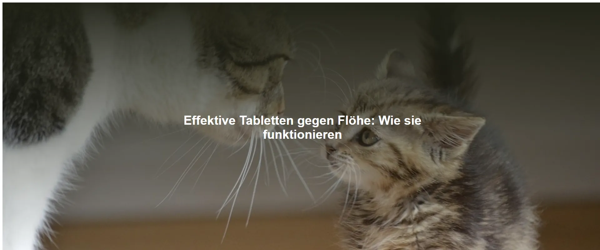 Effektive Tabletten gegen Flöhe: Wie sie funktionieren