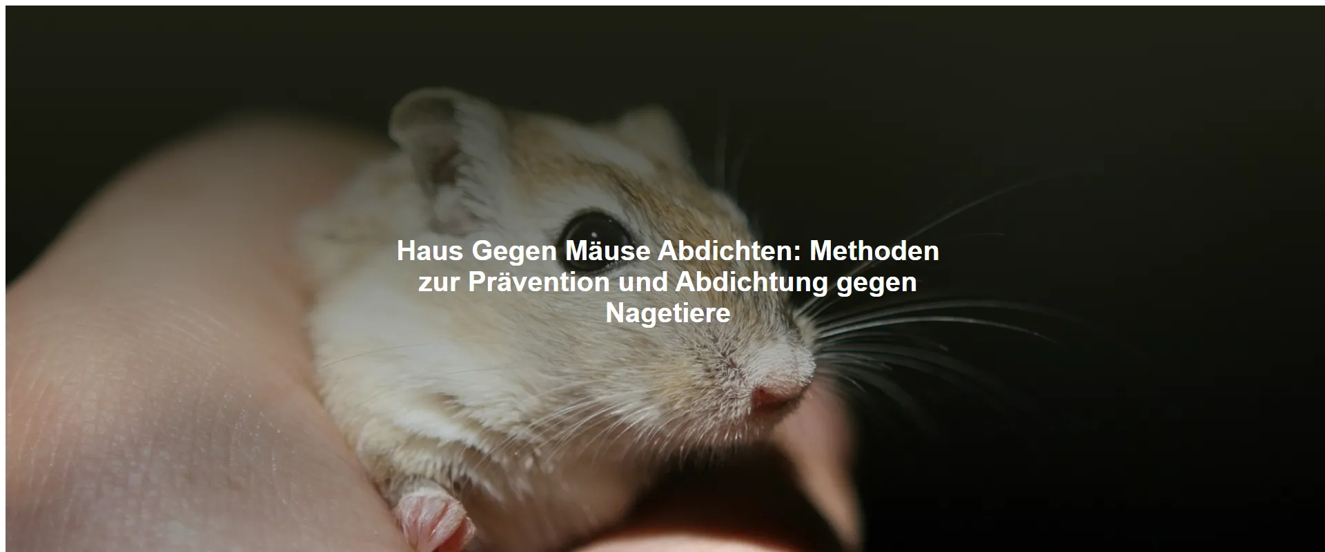 Haus Gegen Mäuse Abdichten – Methoden zur Prävention und Abdichtung gegen Nagetiere