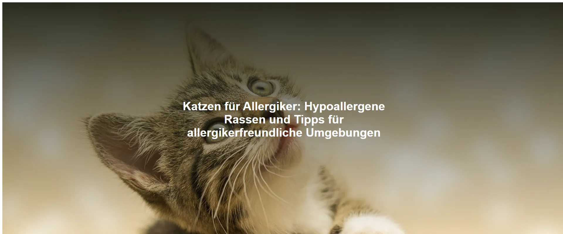 Katzen für Allergiker – Hypoallergene Rassen und Tipps für allergikerfreundliche Umgebungen
