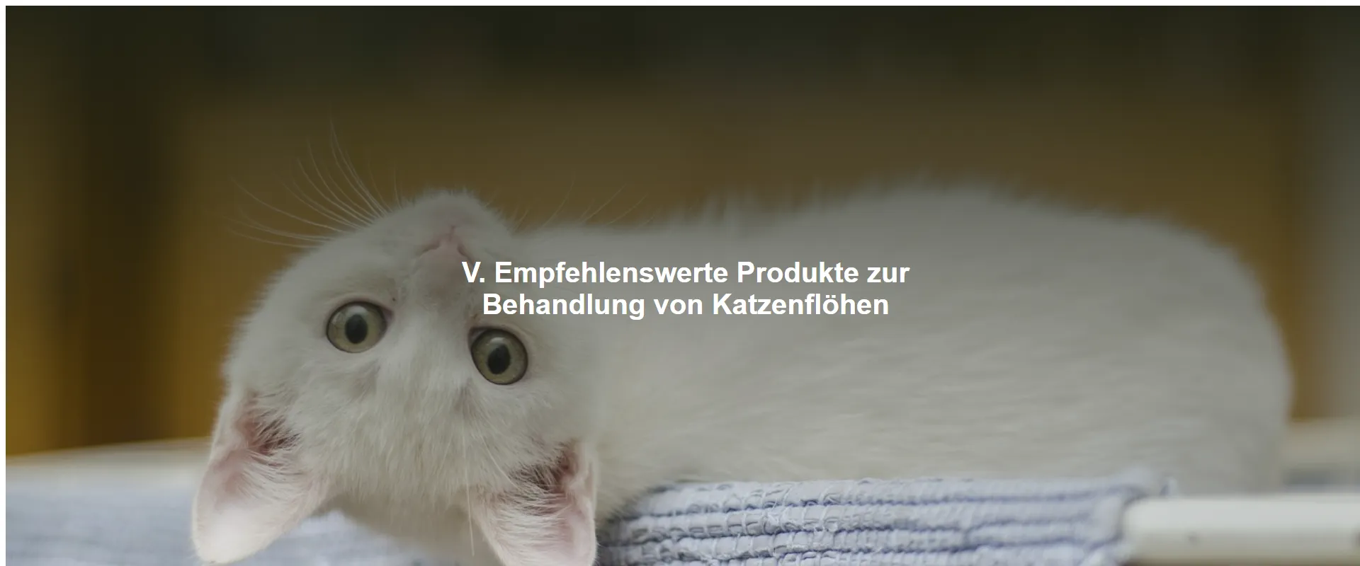 Empfehlenswerte Produkte zur Behandlung von Katzenflöhen