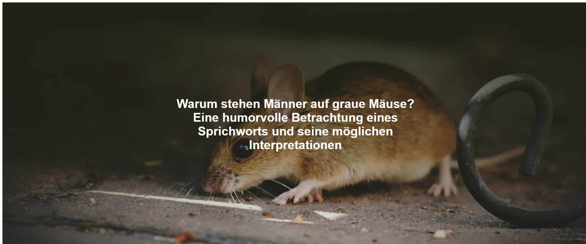 Warum stehen Männer auf graue Mäuse? Eine humorvolle Betrachtung eines Sprichworts und seine möglichen Interpretationen
